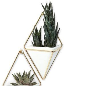 [Umbra] Hanging Planter Vase & Geometric Wall Decor White Ceramic/Brass